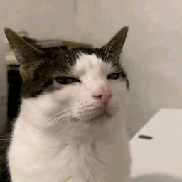 Etienne
